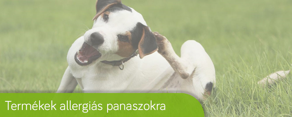 Kutya allergia elleni gyógyszer kezelés